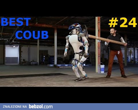 Kompilacja filmików COUB