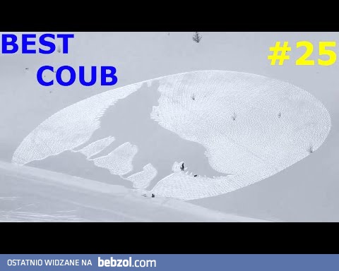 Kompilacja filmików COUB