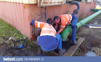 Słoniątko chciało się ochłodzić - samo