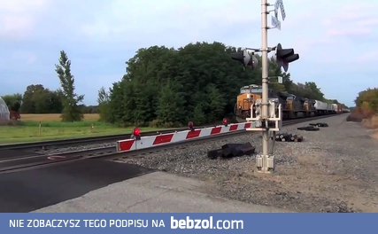 Przestraszone pociągi