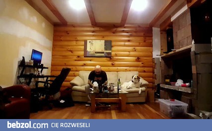 Kiedy pies zazdrości, ale udaje niezainteresowanego