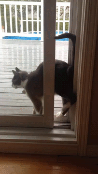 Ja nie wejdę?