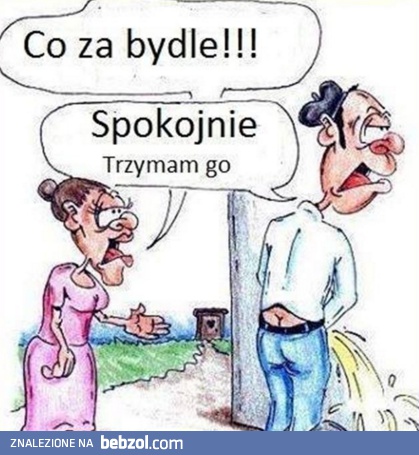 Co za bydle