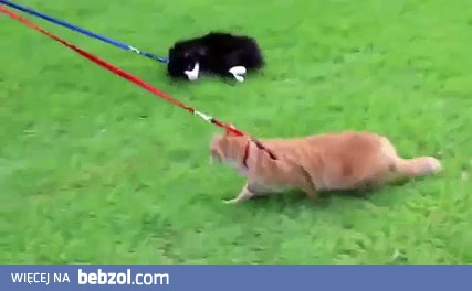 Kiedy straciłeś sens życia