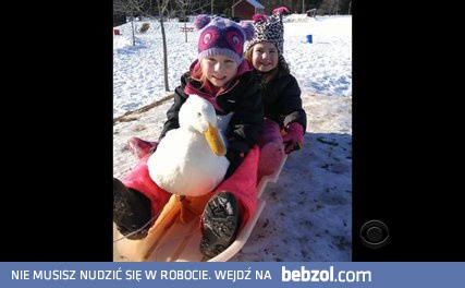 5-latka i jej domowy zwierzak 