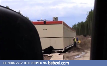 Niebezpieczny atak niedźwiedzia na polu naftowym. 