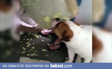 Przyznał się do winy