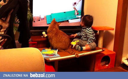 Kot razem z dzieckiem, ogląda materiał wideo na telewizorze