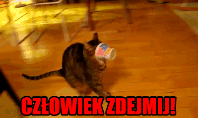 Człowiek, cho no tu!