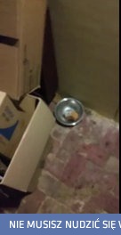 A kto tu się tak ładnie schował?