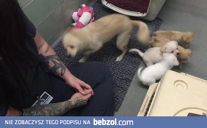 Mama spotkała się ze szczeniętami