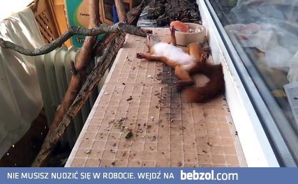 Z alkoholem nie ma żartów!