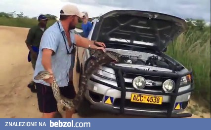 Wąż pod maską samochodu