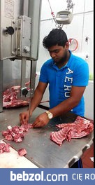 Mistrz w swoim fachu