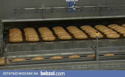 Produkcja chleba 2.000 szt./godz. 