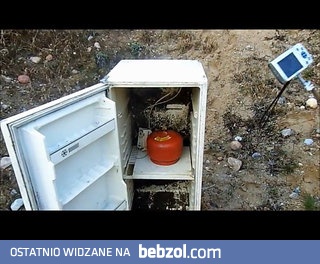 Wysadzili lodówkę