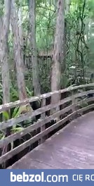 Bliskie spotkanie trzeciego stopnia