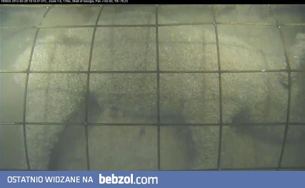 Co się stanie z topielcem na dnie morza?