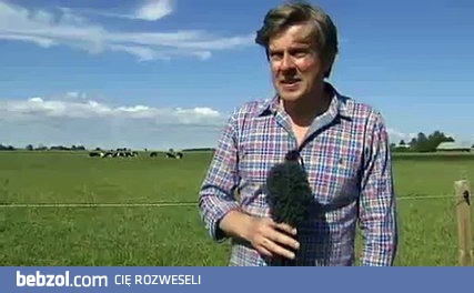 Krówki bawiące się piłką i ich reakcja na jej zabranie