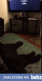 Koniec telewizji, idziemy spać