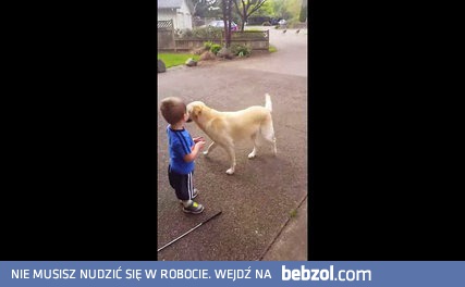 Mały chłopiec i indyki