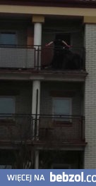 Policyjna interwencja zakończona zgonem