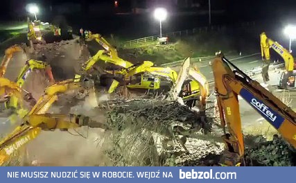 Głodne koparki na pastwisku