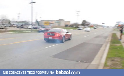 Aleś się popisał swoim nowym mustangiem