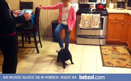 Drap mnie człowiek, drap mnie.