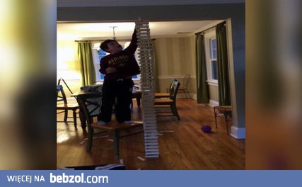 Pies grający w Jengę