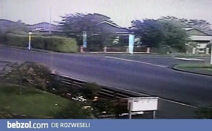 Farciarz jakich mało