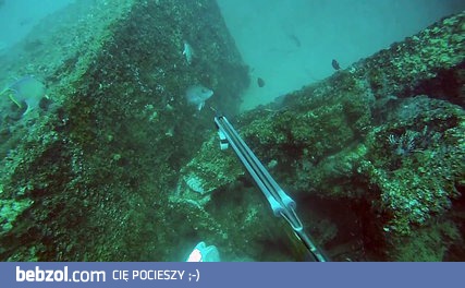 Jak brzmi gniew pod wodą?