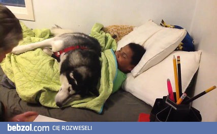 Kiedy nie masz ochoty wstawać na 7