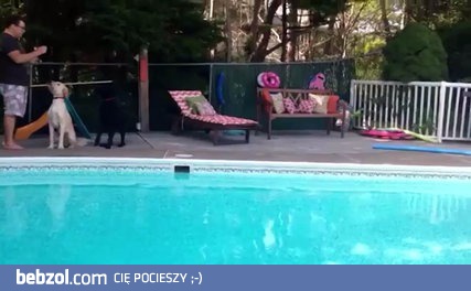 Nic więc zanurkowała