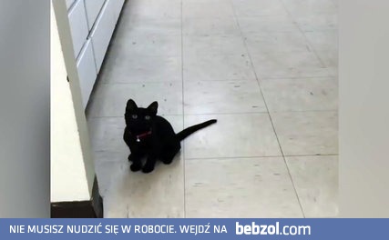 Skacz, skacz jak piłeczka!