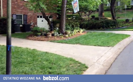 Niepełnosprawna wiewiórka 