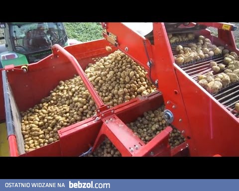 Przenośniki do zbioru warzyw