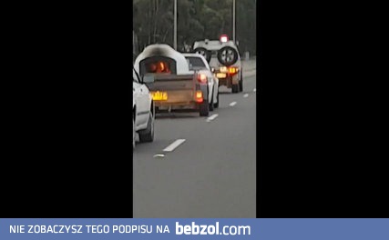 Gorąca pizza prosto z pieca w dostawie