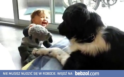 Wielkie bydle i śmiejące się dziecko