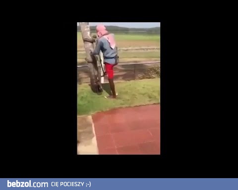 Jak wchodzić na drzewa