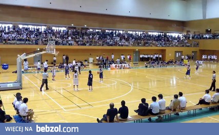 Już witali się z gąską... 