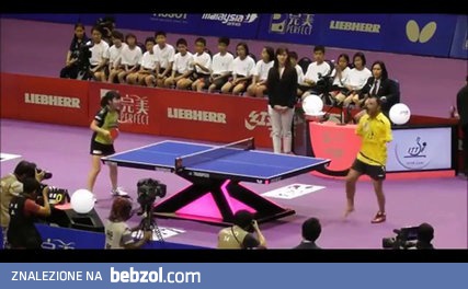 Kadłubek i tenis stołowy