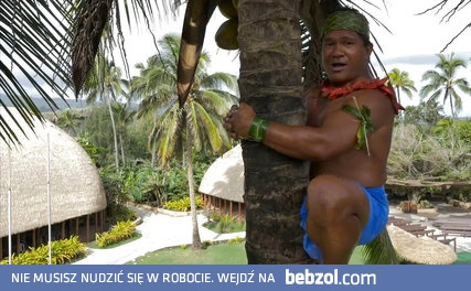 Jak wspiąć się na drzewo kokosowe