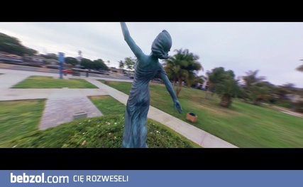 Efektowny pościg za psem, biegnącym za rzuconą piłką