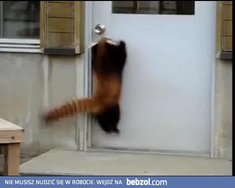 Otwóóóóórzcieeeee!