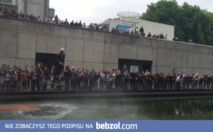 Typ sobie lata na dronie