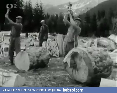 Rąbanie drzewa po czesku