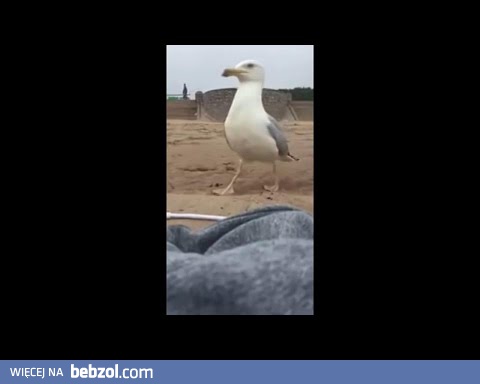 Przywłaszczenie mienia w postaci Iphona...