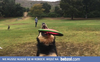 Idealny rzut tatusia i mistrzowskie nagranie córki