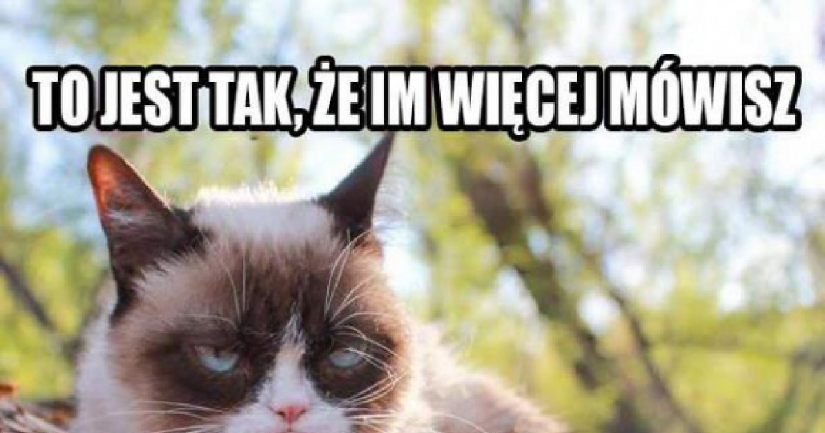 Grumpy перевод. Grumpy Cat мемы. Ворчливый кот Мем. Grumpy Cat Мем на русском. The Grumpy Cat и мусорка.